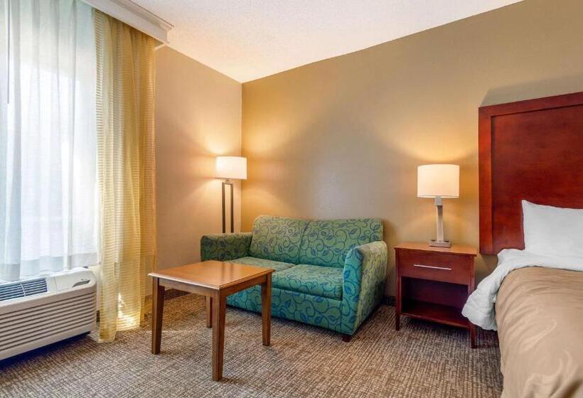 غرفة قياسية سرير كينج, Quality Inn & Suites Olde Town
