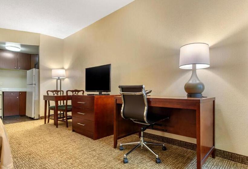 장애인을 위한 킹사이즈 침대 스탠다드 룸, Quality Inn & Suites Olde Town