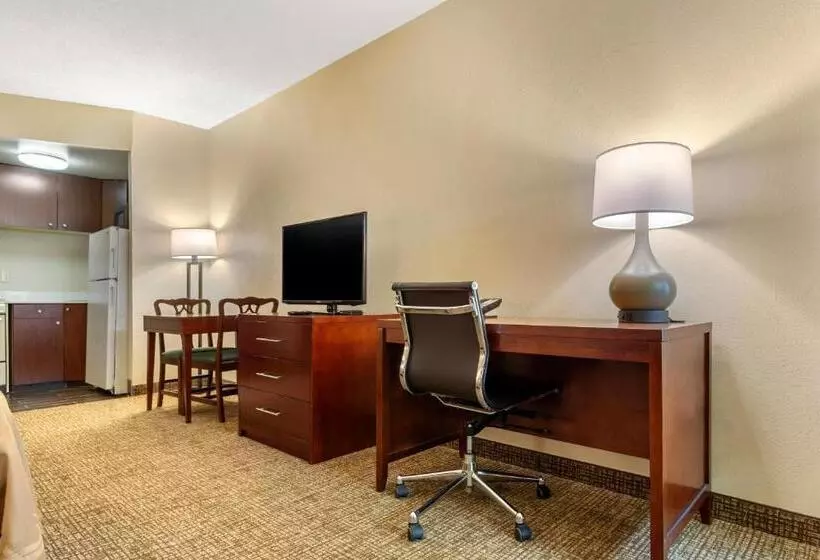 身障者適用キングサイズベッドルーム, Quality Inn & Suites Olde Town