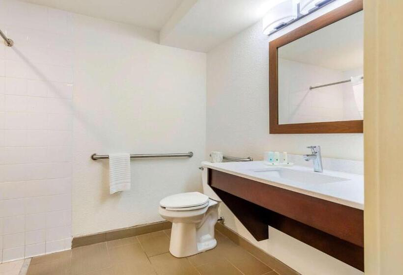 Номер Стандарт Кровать Кинг Адаптированный для Инвалидов, Quality Inn & Suites Olde Town