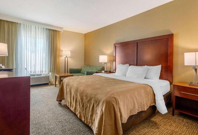 장애인을 위한 킹사이즈 침대 스탠다드 룸, Quality Inn & Suites Olde Town