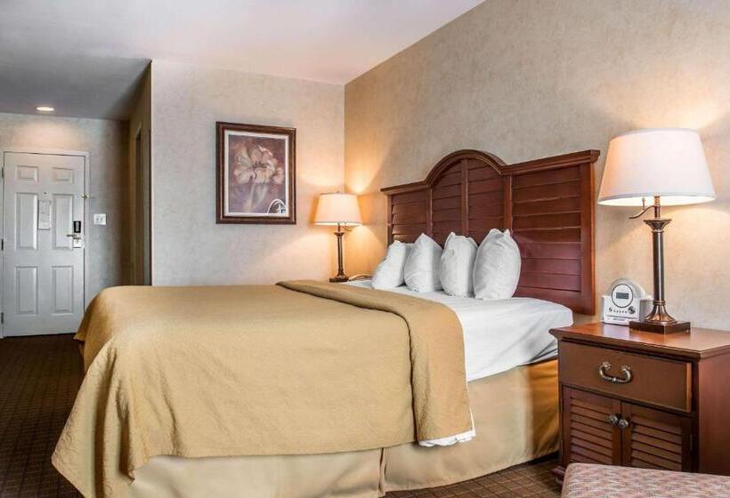 带大床的标准间, Quality Inn Pittsburgh Airport