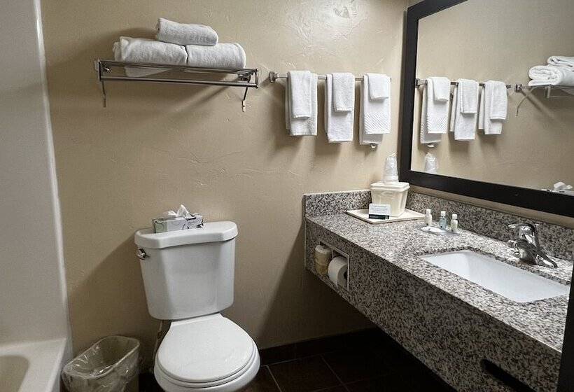 غرفه قياسيه سريرين مزدوجين, Quality Inn Zion Park Area