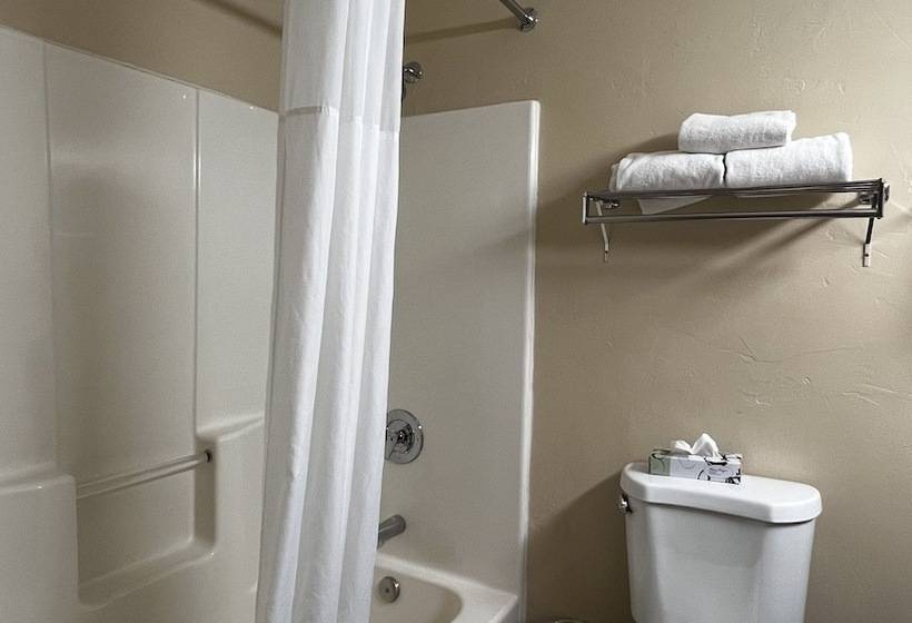 غرفه قياسيه سريرين مزدوجين, Quality Inn Zion Park Area