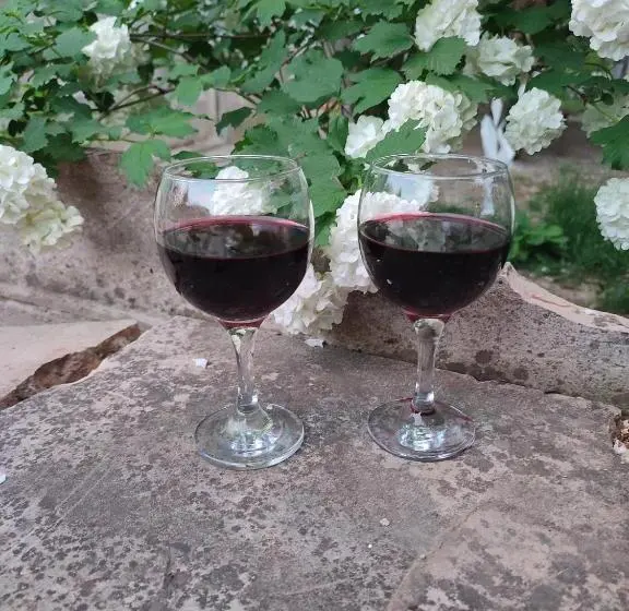 اتاق خانوادگی, Guesthouse Tea