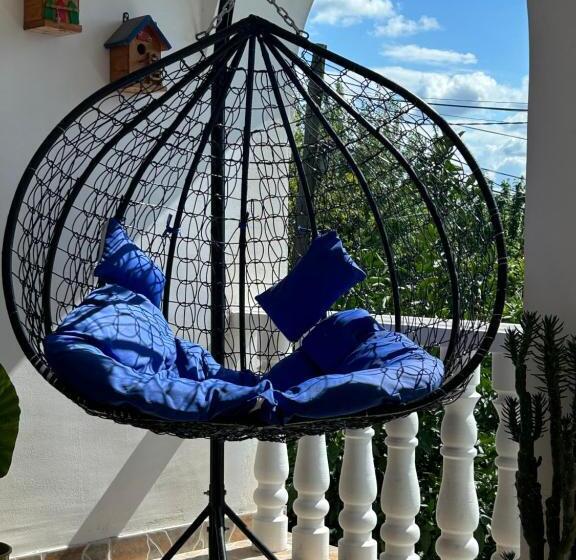 استودیوی استاندارد, Guesthouse Tea