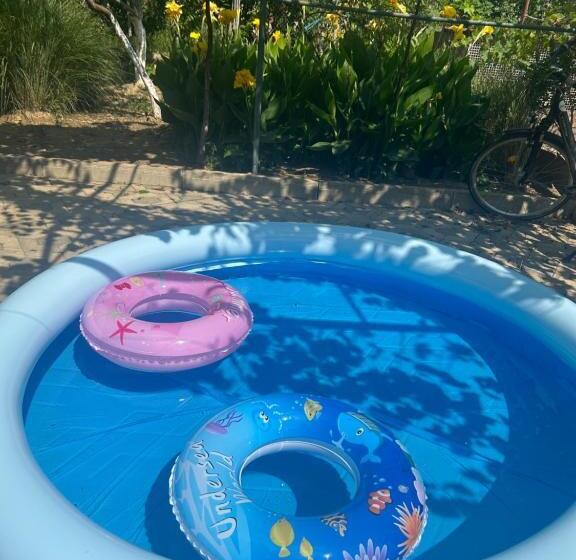 استودیوی استاندارد, Guesthouse Tea