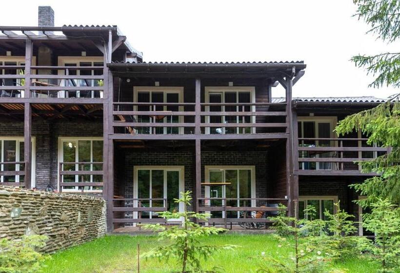 اتاق استاندارد با تخت بزرگ, парк готель щастя