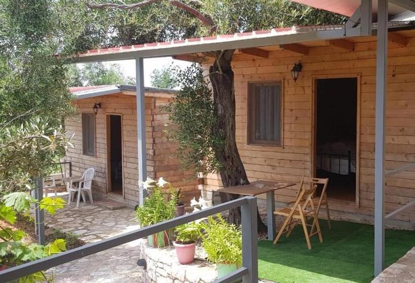 חדר סטודיו סטנדרד, Holiwood