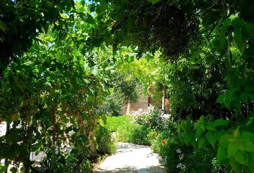 חדר סטודיו סטנדרד, Holiwood