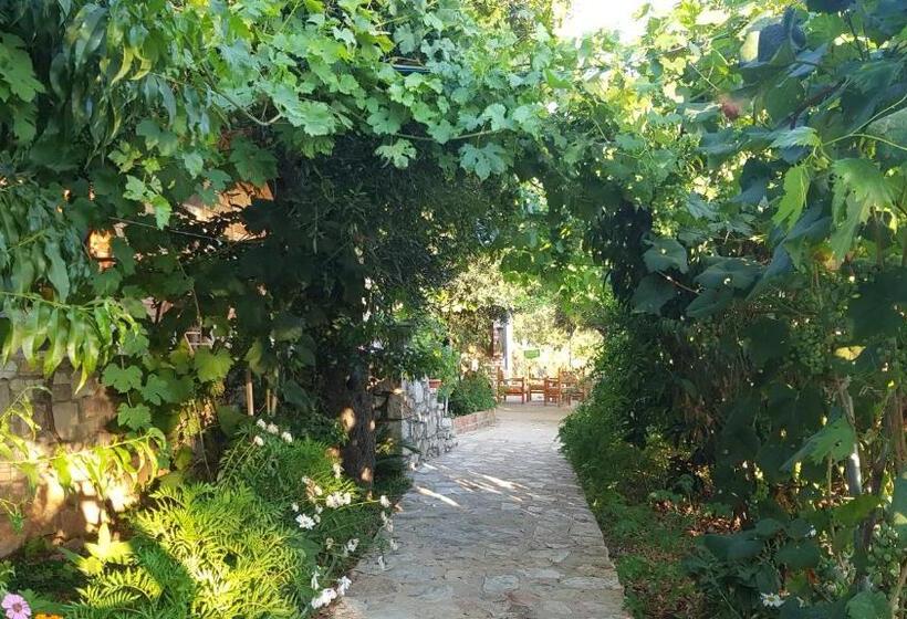 חדר סטודיו סטנדרד, Holiwood