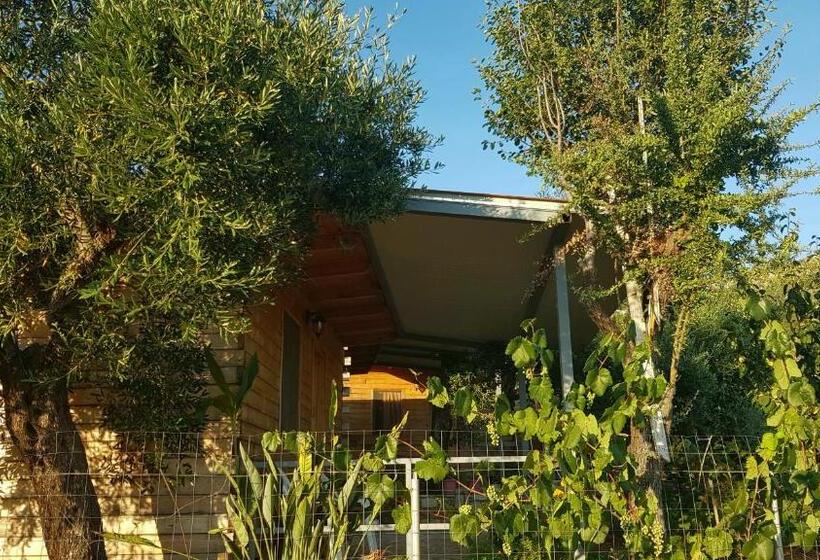 חדר סטודיו סטנדרד, Holiwood