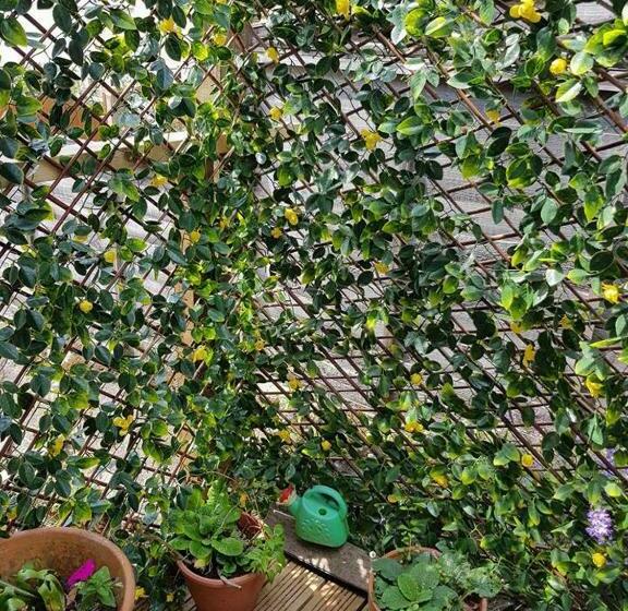 스탠다드 스튜디오 (테라스구비), Self Contained Rooms In Central Torquay