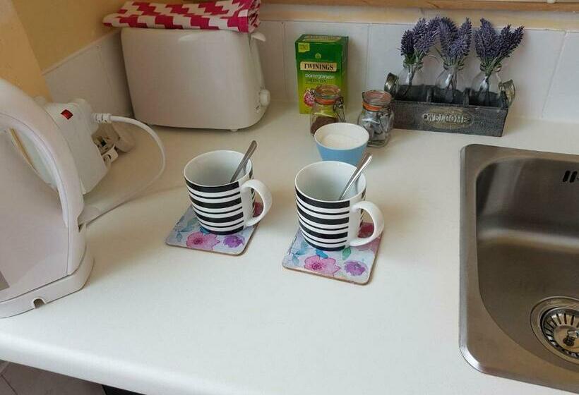 스탠다드 스튜디오 (테라스구비), Self Contained Rooms In Central Torquay