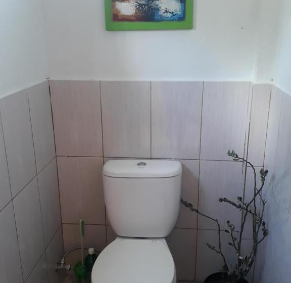 اتاق لوکس, Sumatra Cheeky Monkeys