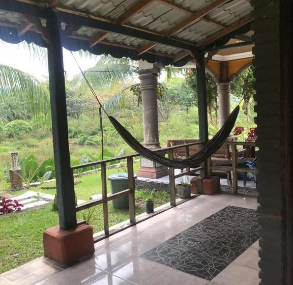 اتاق لوکس با تراس, Sumatra Cheeky Monkeys