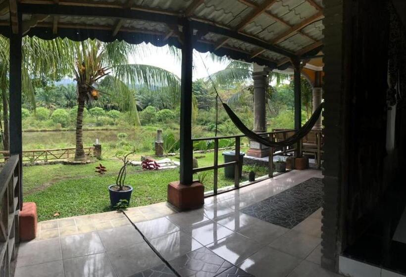 اتاق لوکس با تراس, Sumatra Cheeky Monkeys