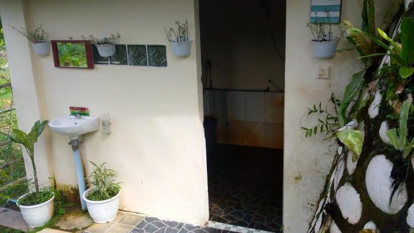 اتاق اکونومی, Sumatra Cheeky Monkeys