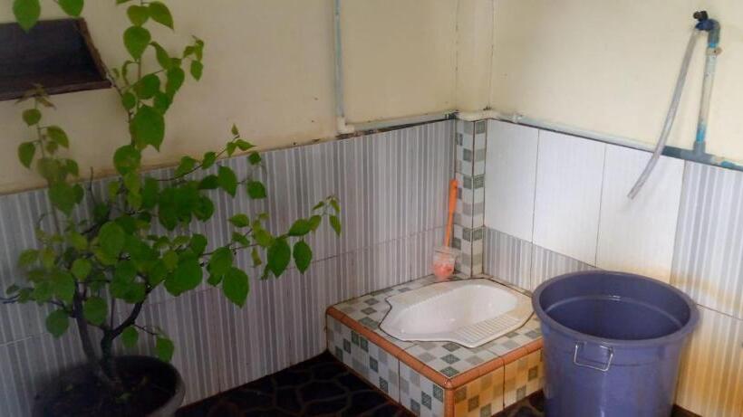 اتاق اکونومی, Sumatra Cheeky Monkeys