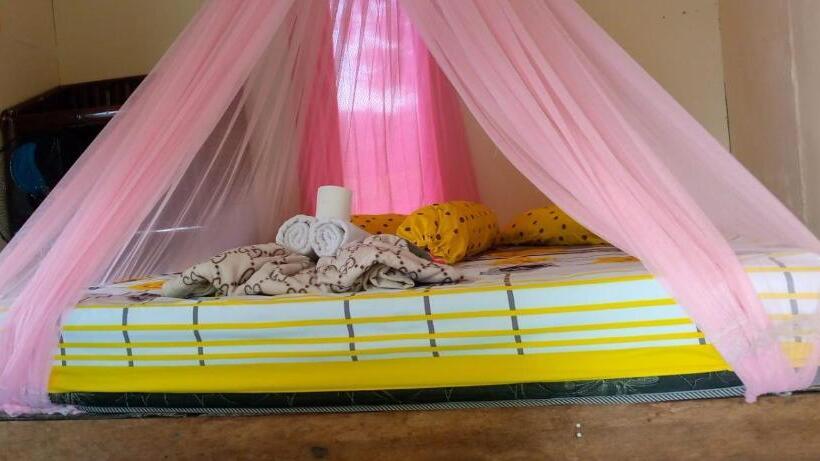 اتاق اکونومی, Sumatra Cheeky Monkeys