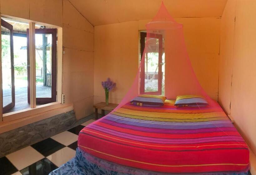 اتاق اکونومی, Sumatra Cheeky Monkeys