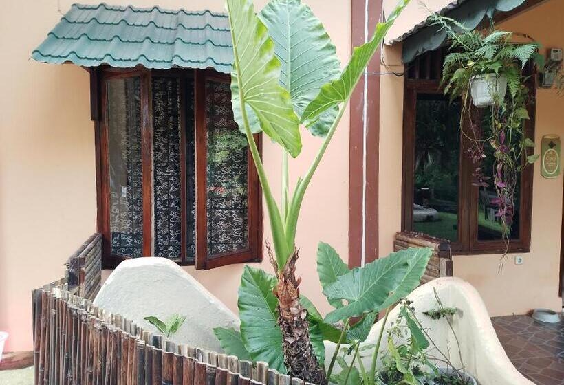 اتاق استاندارد با سرویس بهداشتی مشترک, Sumatra Cheeky Monkeys