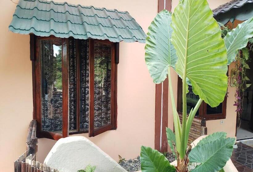 اتاق استاندارد با سرویس بهداشتی مشترک, Sumatra Cheeky Monkeys