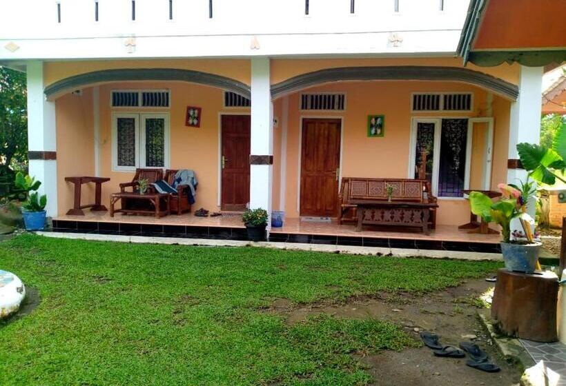 اتاق لوکس, Sumatra Cheeky Monkeys