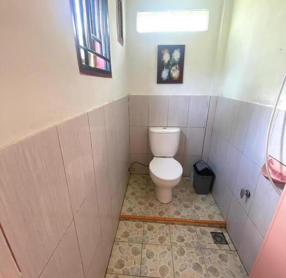 اتاق لوکس, Sumatra Cheeky Monkeys