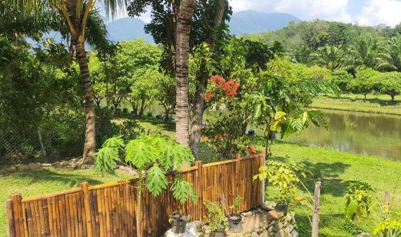 اتاق لوکس با تراس, Sumatra Cheeky Monkeys