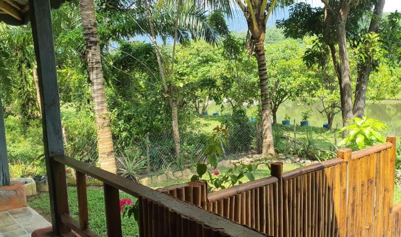 اتاق لوکس با تراس, Sumatra Cheeky Monkeys