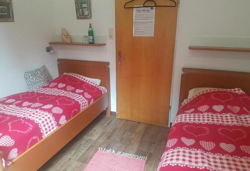 חדר סטנדרט חדר אמבטיה משותף, Welt Lodge