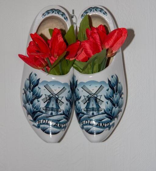 סוויטה דלוקס, Welt Lodge