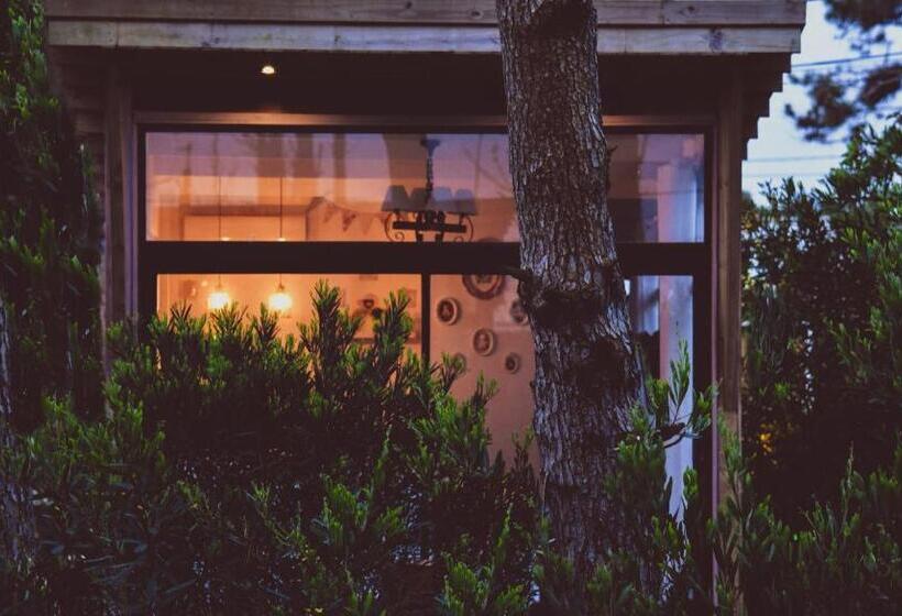 디럭스 방갈로, Bella Bungalows