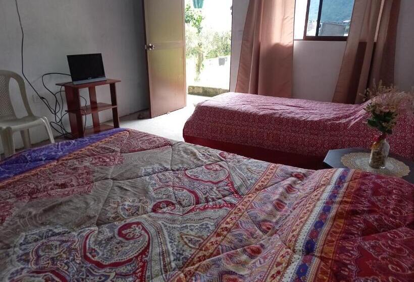 اتاق استاندارد با سرویس بهداشتی مشترک, Montano Camping & Hostel