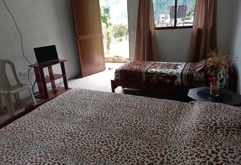 اتاق استاندارد با سرویس بهداشتی مشترک, Montano Camping & Hostel