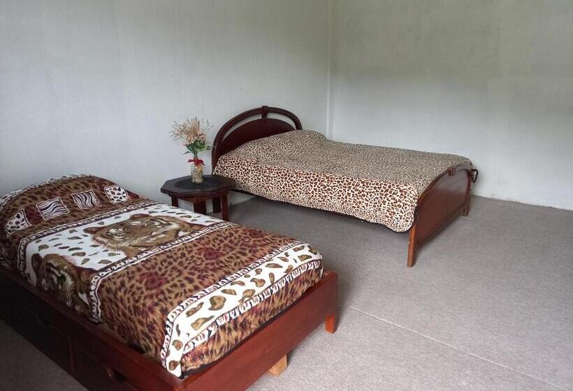 اتاق استاندارد با سرویس بهداشتی مشترک, Montano Camping & Hostel