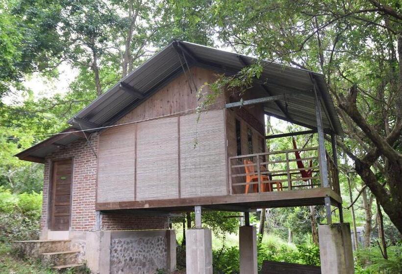 Номер Стандарт с Балконом, Olala Café & Bungalows