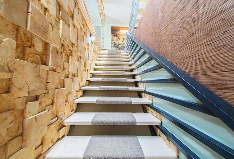 آپارتمان 1 خوابه, Inn Ozz