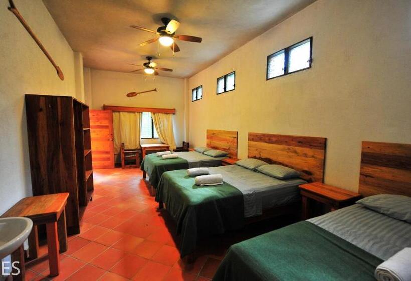 اتاق استاندارد سه نفره, Rio