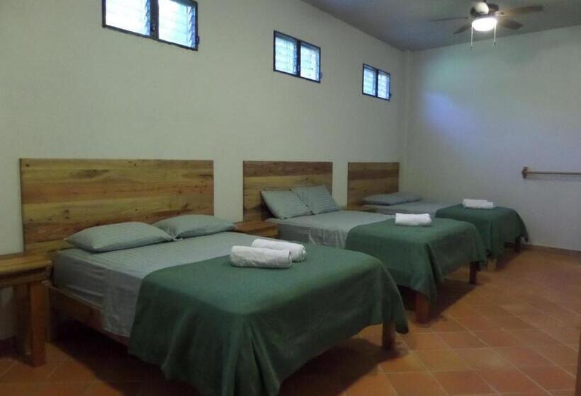 اتاق استاندارد سه نفره, Rio