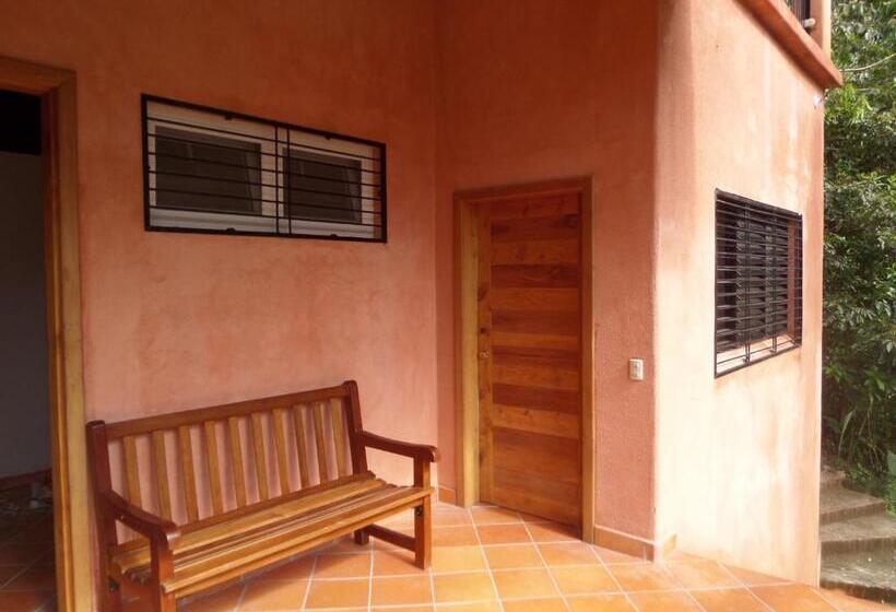 اتاق استاندارد سه نفره, Rio