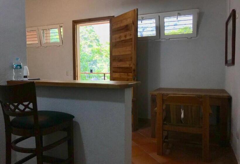 آپارتمان 1 خوابه با چشمانداز, Rio