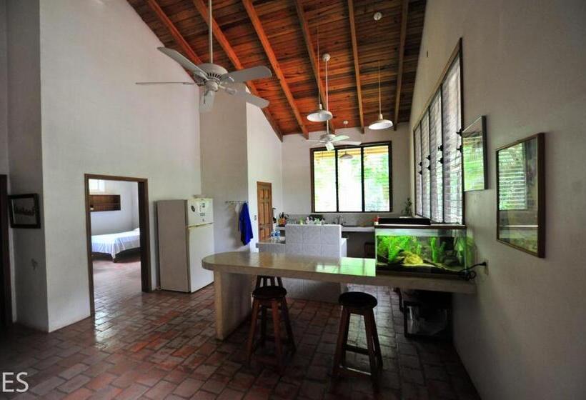 اتاق استاندارد, Rio