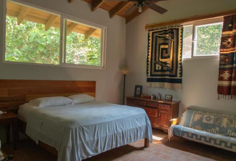 اتاق استاندارد, Rio