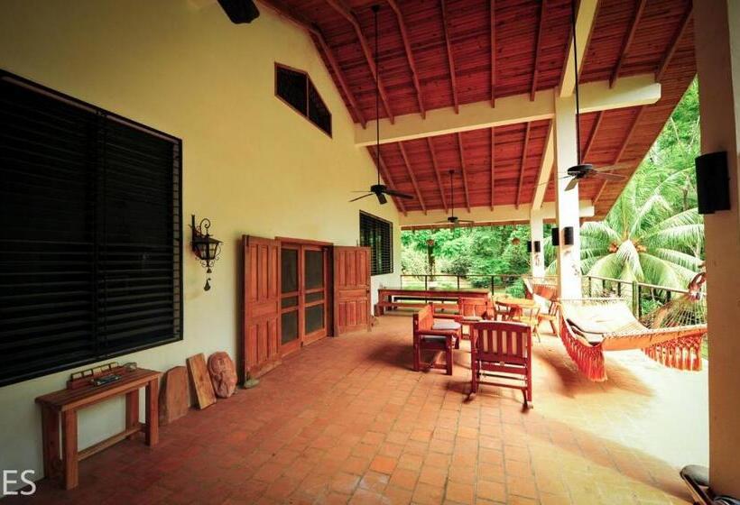 اتاق راحتی سه تخته, Rio