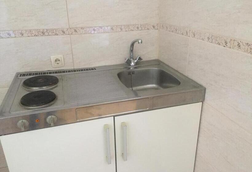 اتاق خانوادگی, Pansion Danijel