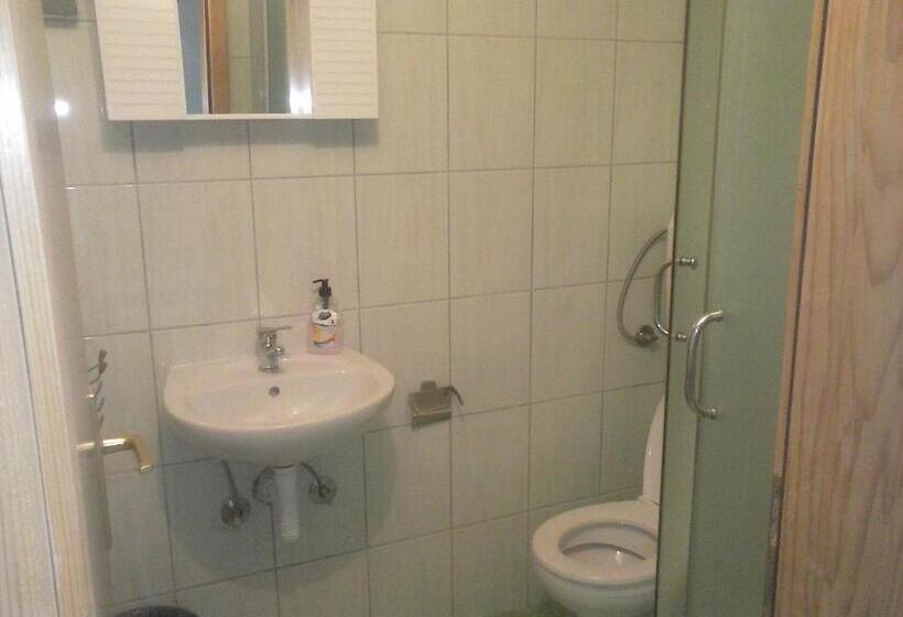 اتاق خانوادگی, Pansion Danijel