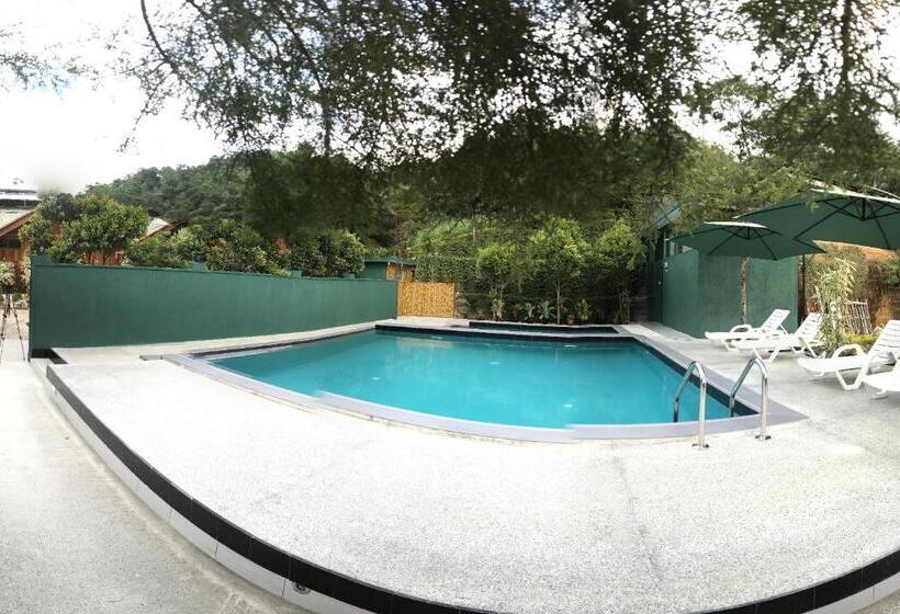 スタンダードルーム, Cottage 2010