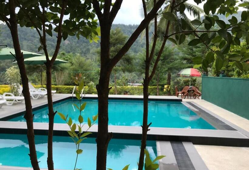 スタンダードルーム, Cottage 2010